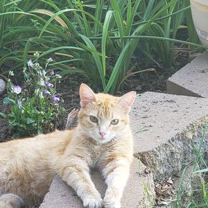 Meet your Posher, Joanne